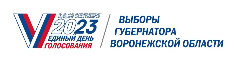 «Мобильный избиратель» и электронное голосование: сотрудники МФЦ помогают гражданам в реализации избирательных прав.